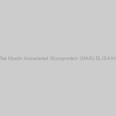 Image of Rat Myelin Associated Glycoprotein (MAG) ELISA Kit